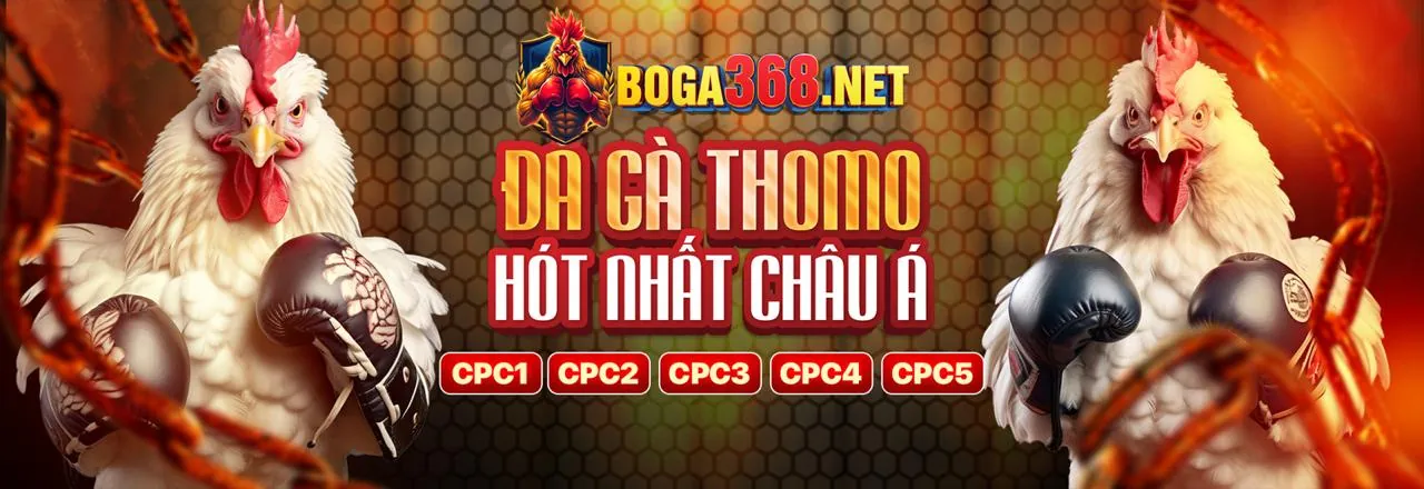 Cá Cược Trong Trận shbett