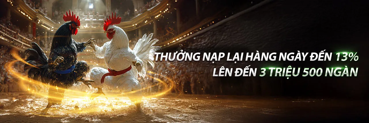 Sân đấu đá gà trực tuyến cr88